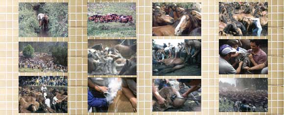 Foto da exposicion de fotos